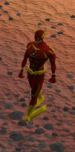 Flash.png