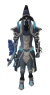 Artic Guardian NPC.png
