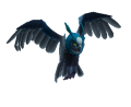 Thumbnail for version as of 05:55, 17 February 2023