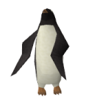 Penguin.png