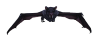 Vampy Pet (pet).png