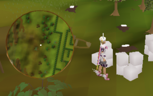 Great Maze crate 2.png