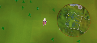 PdMM0al.png