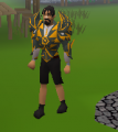 Wizzy Torva Body.png