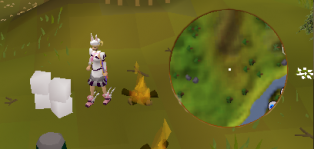 Abandoned camp crate 2.png