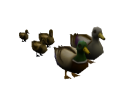 Thumbnail for version as of 05:54, 17 February 2023