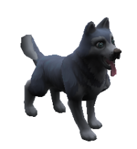 Duke.png