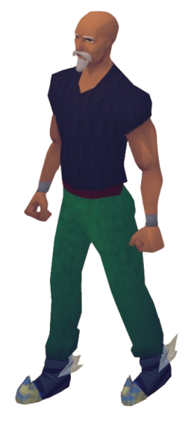 File:Zodiac Boots Equipped.png